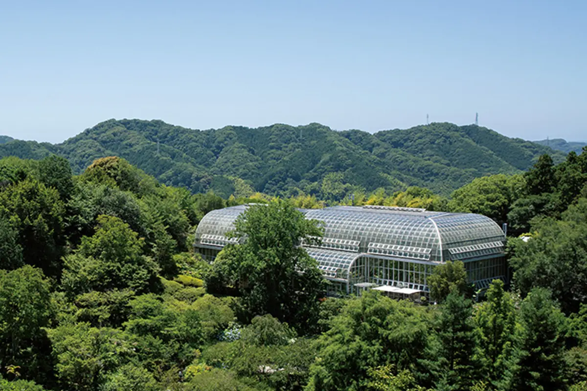 らんまんのモデル牧野富太郎の植物園はどこにある？見どころや行き方も
